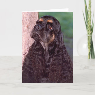 Black & tan Champion Cocker Spaniel greeting card