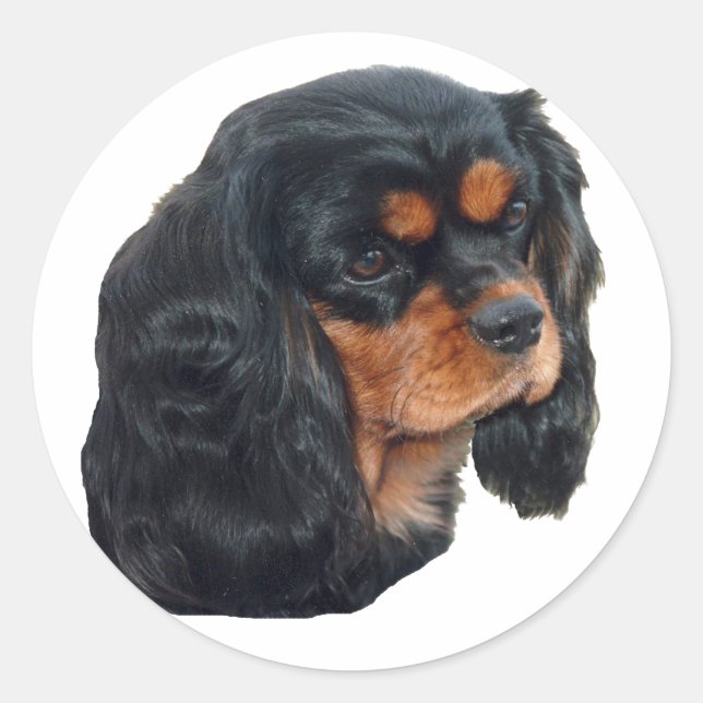 Black & Tan Classic Round Sticker (Front)