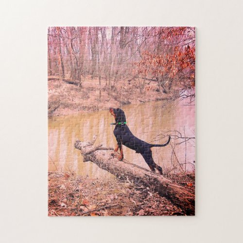 Black  Tan Coonhound At The River Jigsaw Puzzle