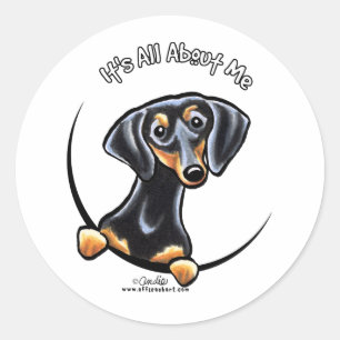 Black Tan Dachshund Its All About Me Classic Round Sticker