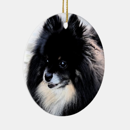 Black & Tan Pomeranian Ornament | Zazzle