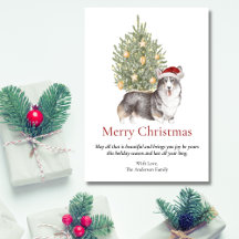 Black Tan White Corgi and Christmas Tree Pet Dog