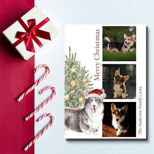 Black Tan White Corgi Christmas Tree Pet Dog Photo Holiday Card