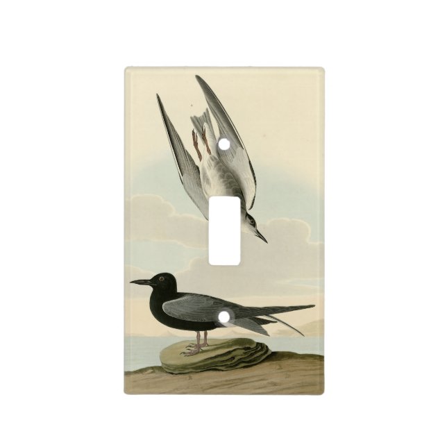 Black Tern from Audubon's Birds of America Light Switch Cover (Front)
