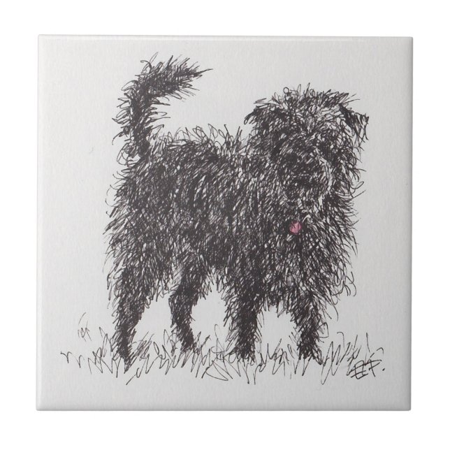 Black Terrier Ceramic Tile (Front)