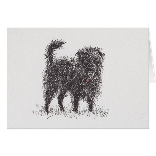 Black Terrier greeting card (Front Horizontal)