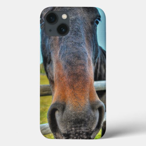 Black Thoroughbred Percheron Horse Muzzle Photo iPhone 13 Case