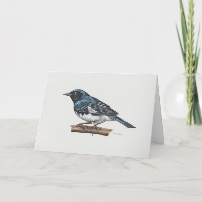 Black-throated Blue Warbler Art Card (Front)