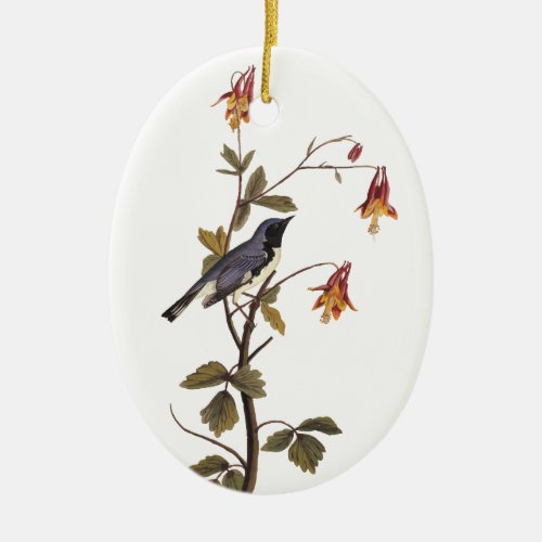 Black_Throated Blue Warbler Audubon Bird Ceramic Ornament