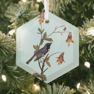 Black-Throated Blue Warbler Audubon Bird Lover Glass Ornament