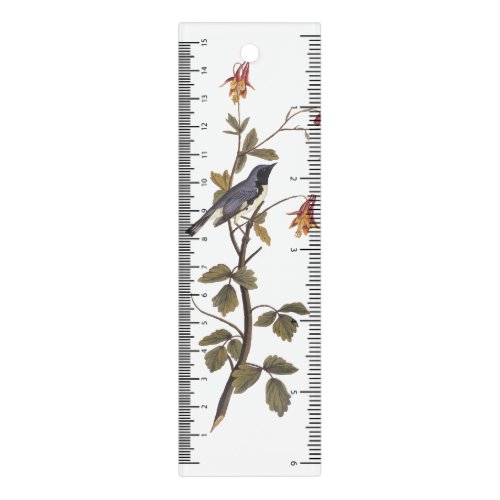 Black_Throated Blue Warbler Audubon Bird Lover Ruler