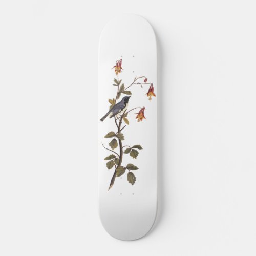 Black_Throated Blue Warbler Audubon Bird Lover Skateboard