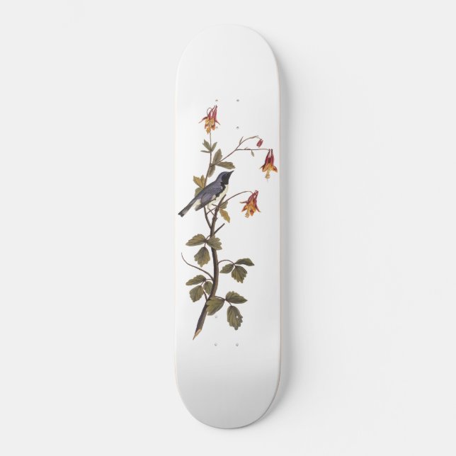 Black-Throated Blue Warbler Audubon Bird Lover Skateboard (Front)