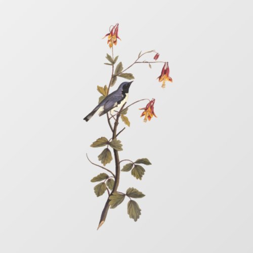 Black_Throated Blue Warbler Audubon Bird Lover Window Cling