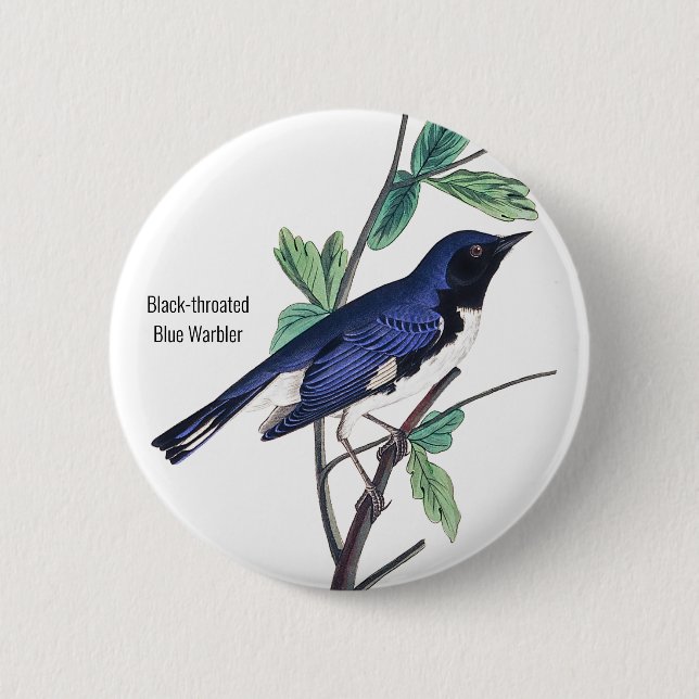 Black-throated Blue Warbler, Audubon, Bird Pin, Button (Front)
