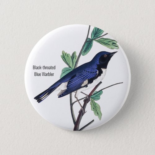 Black_throated Blue Warbler Audubon Bird Pin Button