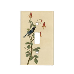 Black-throated Blue Warbler, Audubon Birds America Light Switch Cover