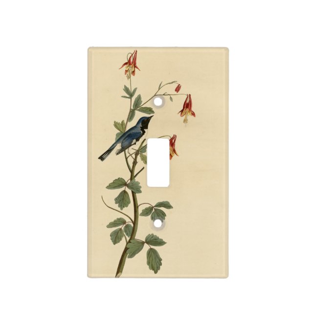 Black-throated Blue Warbler, Audubon Birds America Light Switch Cover (Front)