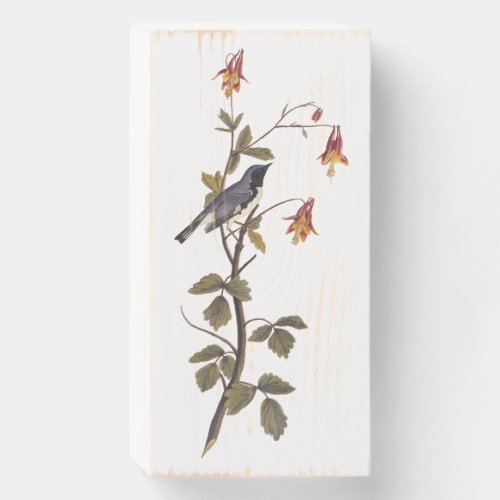 Black_Throated Blue Warbler Audubon Song Bird Art Wooden Box Sign