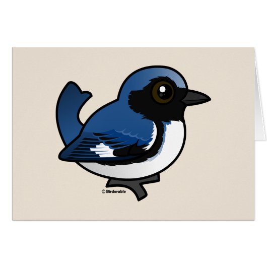 Black-throated Blue Warbler Cards (Front Horizontal)