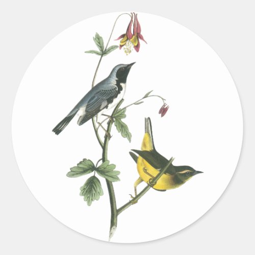 Black_throated Blue Warbler John Audubon Classic Round Sticker