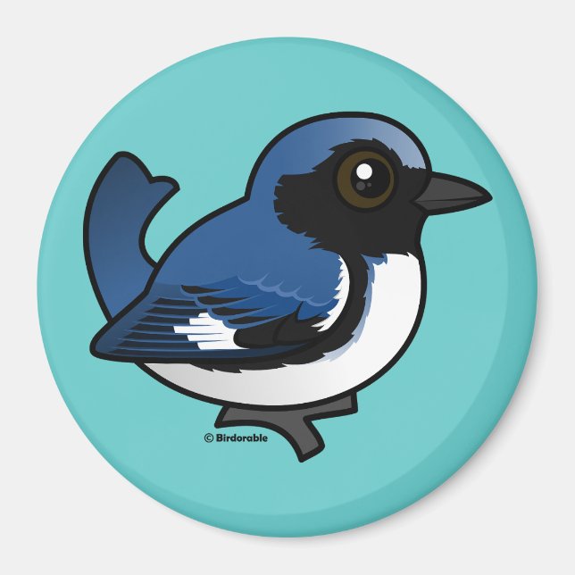 Black-throated Blue Warbler Magnet (Front)
