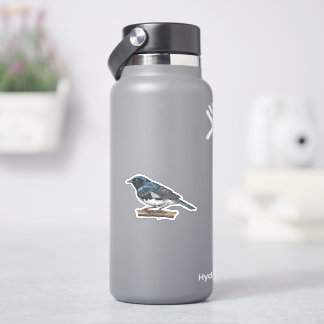 Black-throated Blue Warbler Sticker