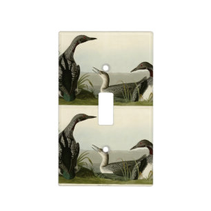 Black-Throated Diver Loon Audubon Birds of America Light Switch Cover