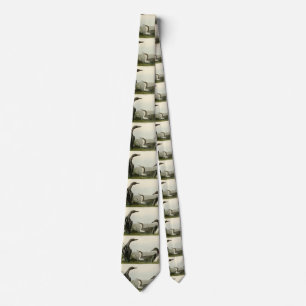 Black-Throated Diver Loon Audubon Birds of America Neck Tie
