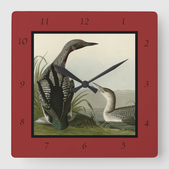 Black-Throated Diver Loon Audubon Birds of America Square Wall Clock (Front)