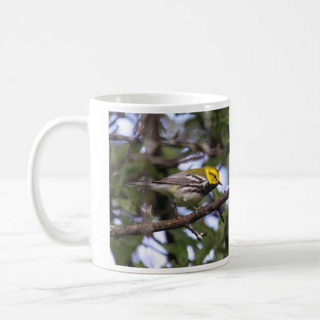 Black-throated Green Warbler Coffee Mug (Left)
