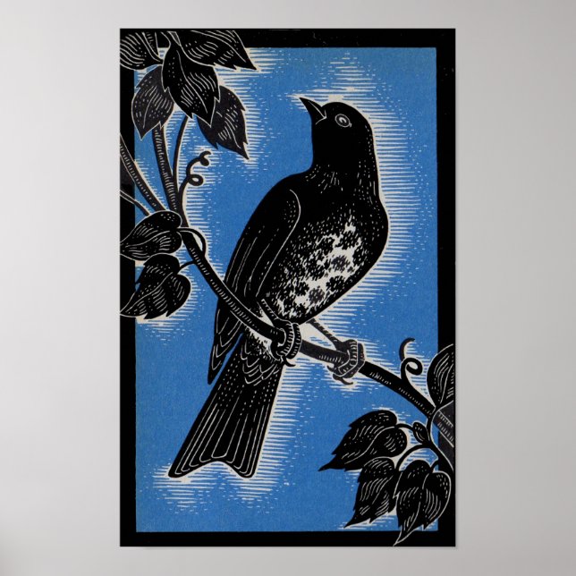black thrush with blue poster (Front)