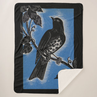 black thrush with blue sherpa blanket