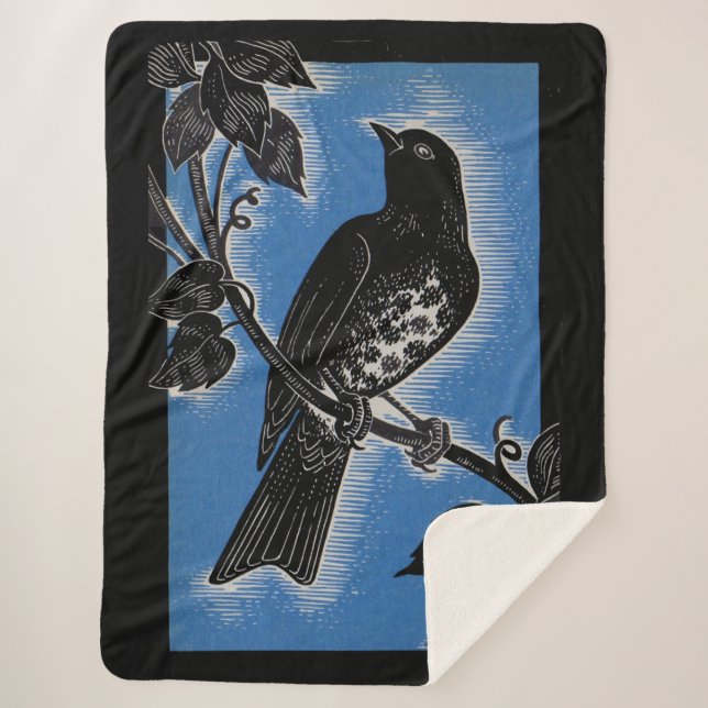 black thrush with blue sherpa blanket (Front)