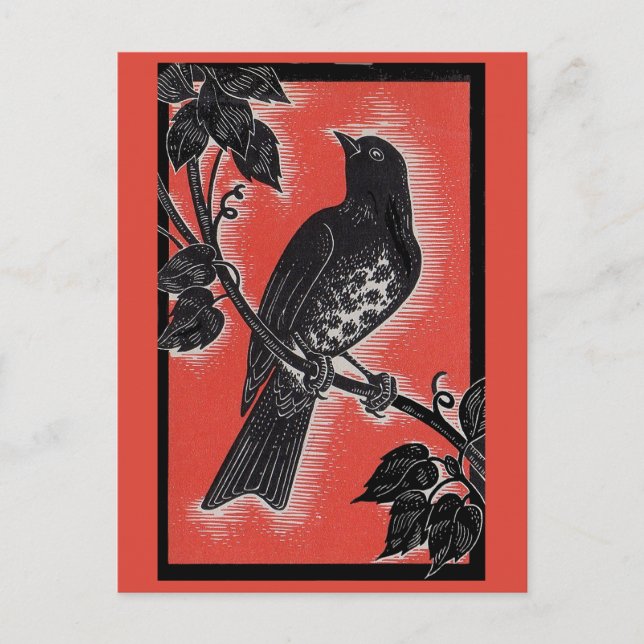 black thrush with red postcard (Front)