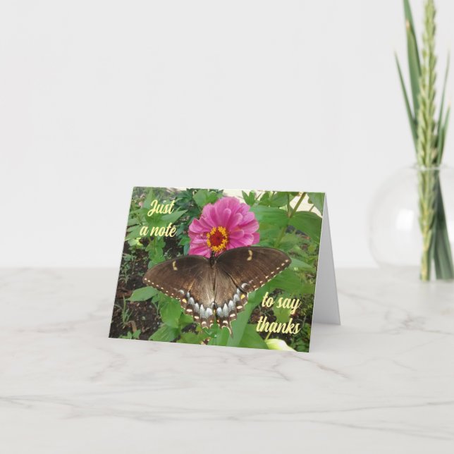 Black Tiger Swallowtail on Zinnia Thank You Card (Front)