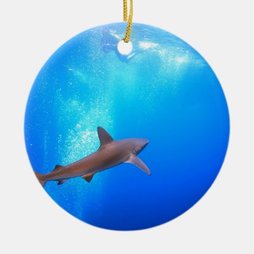 Black_tip reef shark swimming underwater ceramic ornament