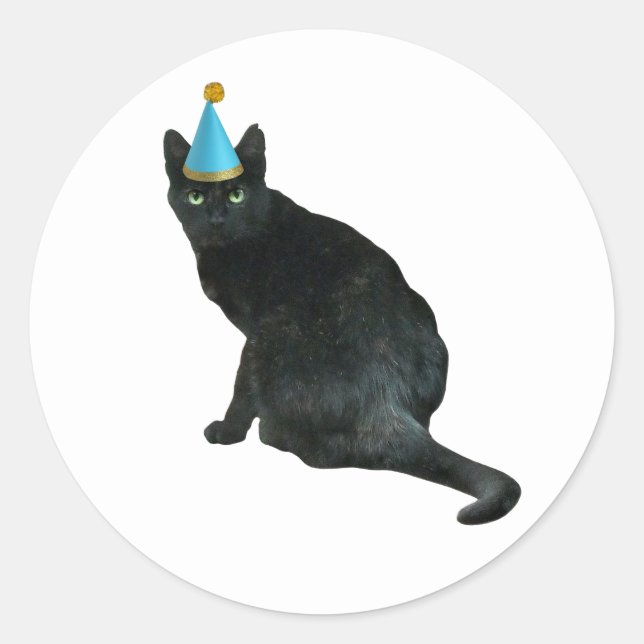 Black Tortie Cat Party Stickers (Front)