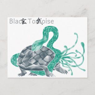 Black Tortoise(black) Postcard