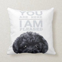 Black Toy poodle with typography