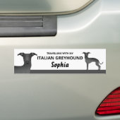 Black - Traveling With My Italian Greyhound Dog Bumper Sticker (On Car)
