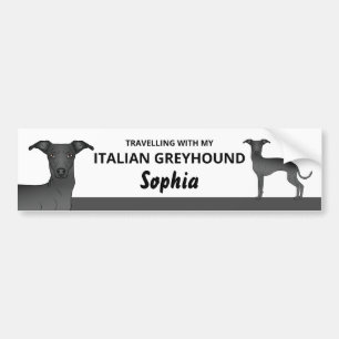 Black - Traveling With My Italian Greyhound Dog Bumper Sticker