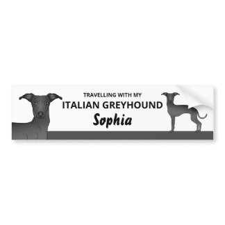 Black - Traveling With My Italian Greyhound Dog Bumper Sticker