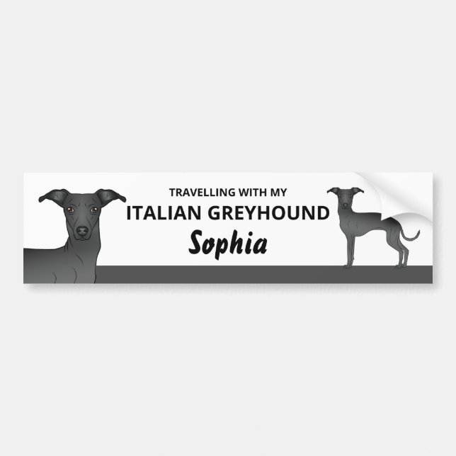 Black - Traveling With My Italian Greyhound Dog Bumper Sticker (Front)