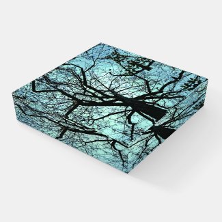 Black Tree Branches Blue Sky Glass Paperweight