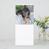 black tri puppy aussie (Standing Front)