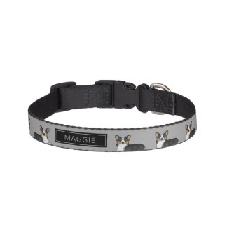 Black Tricolor Pembroke Welsh Corgi With Name Pet Collar