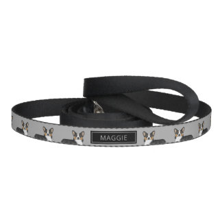 Black Tricolor Pembroke Welsh Corgi With Name Pet Leash