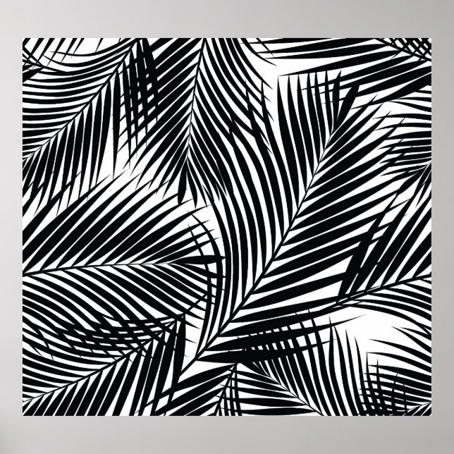 Black tropical palm leaves, white background poster (Front)