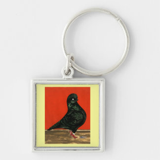 Black Tumbler Pigeon Watercolor Keychain